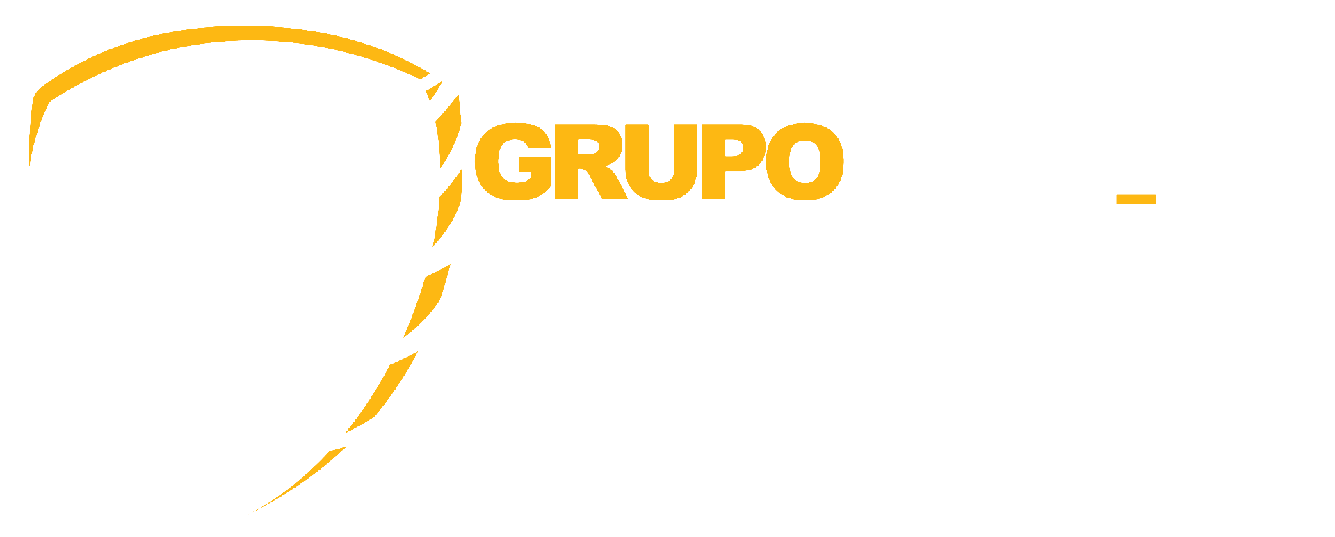 Grupo Megavig